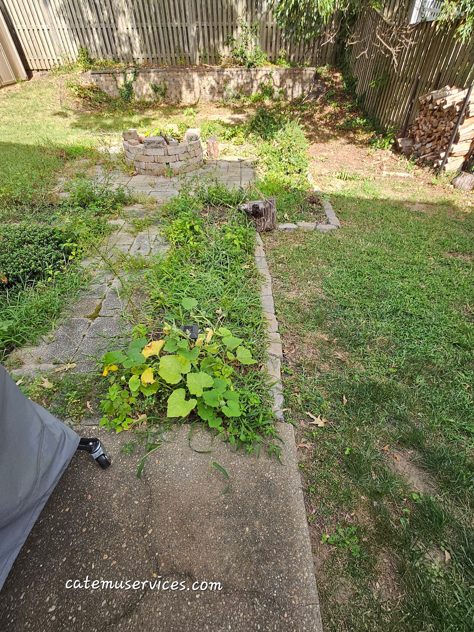 Overgrown backyard with concrete steps, patches of grass, and a wooden fence.