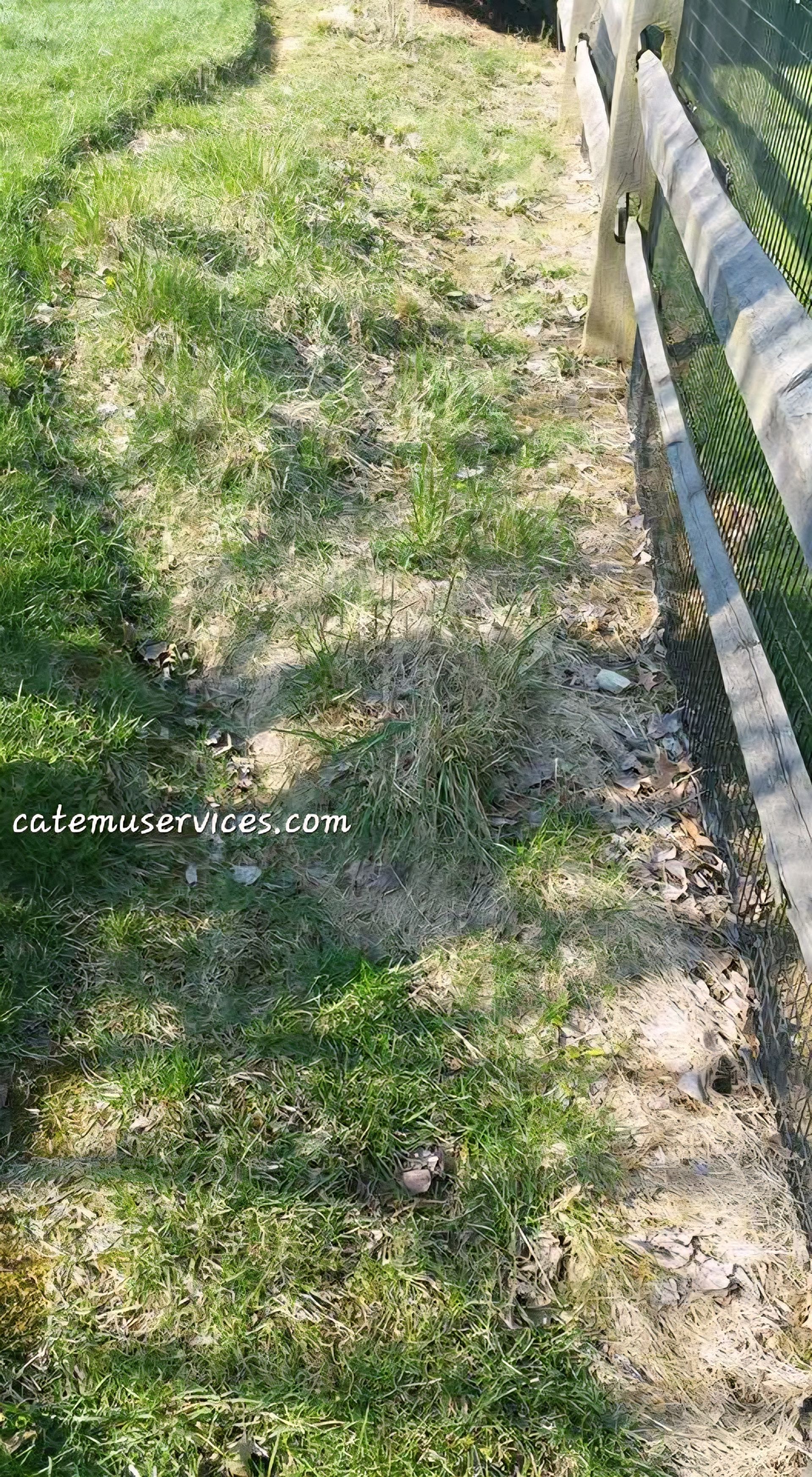 Grassy area bordering a wooden fence, with patchy grass and dirt.