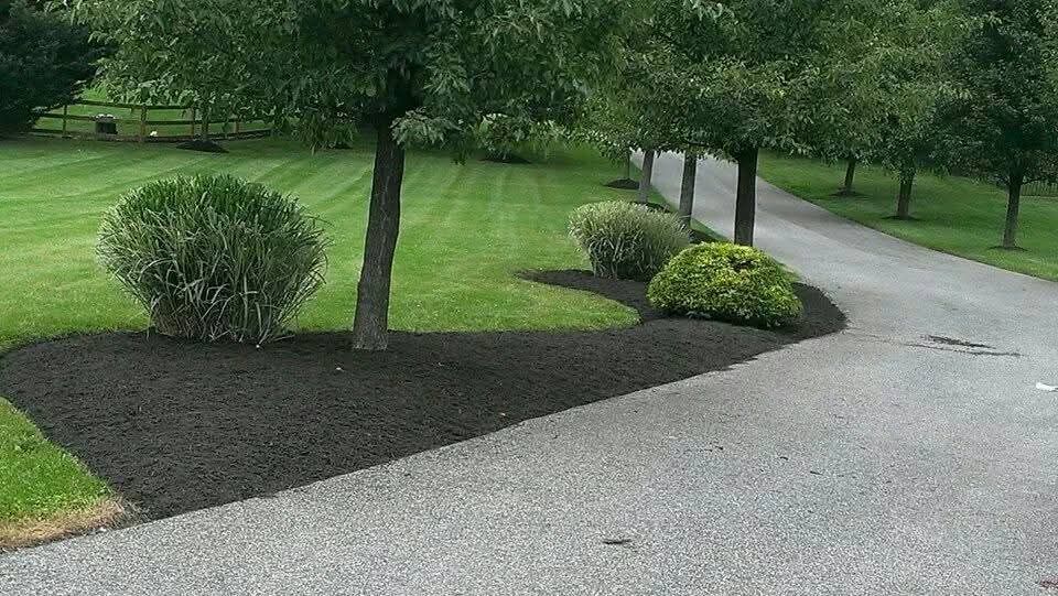A driveway curves past landscaped trees and shrubs in a well-maintained yard.