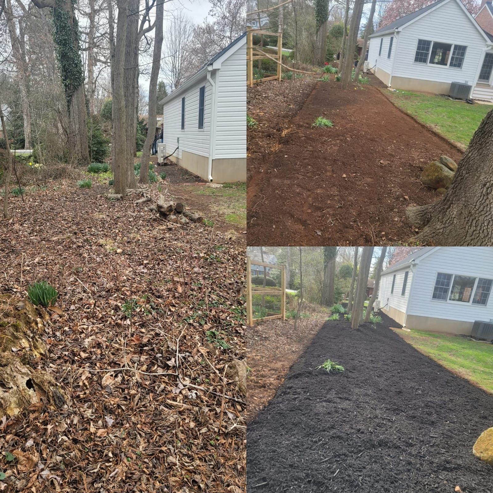 Before and after photos of a yard, showing leaves and unkempt area transformed.