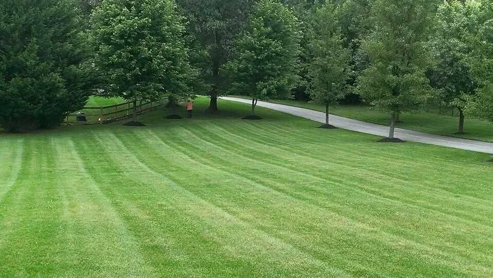 Lush green lawn with mowing lines, trees in background, and a winding paved path on the right.