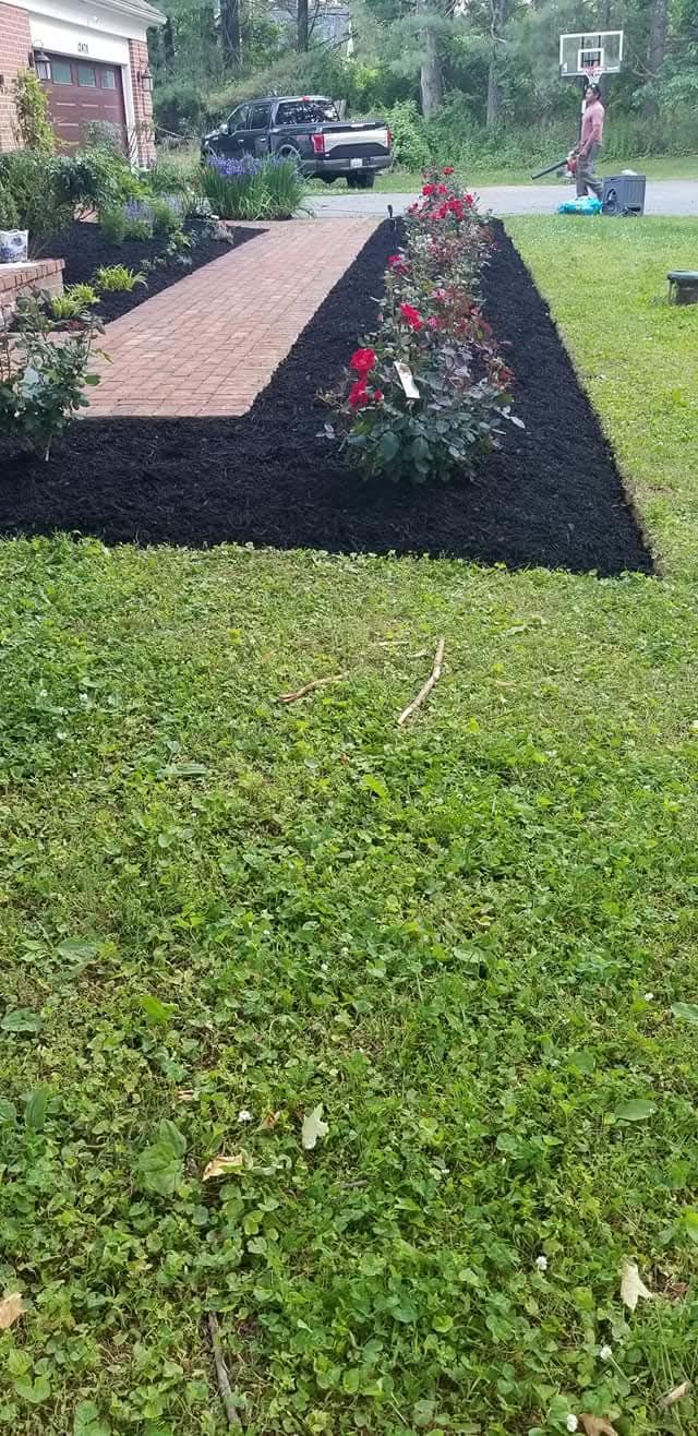 A brick walkway bordered by black mulch and a line of red flowering plants leads toward a house with a driveway.