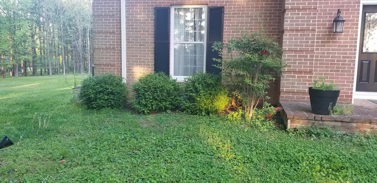 A brick house with black shutters, green bushes, and lush green lawn. A black pot with plants sits on a step.