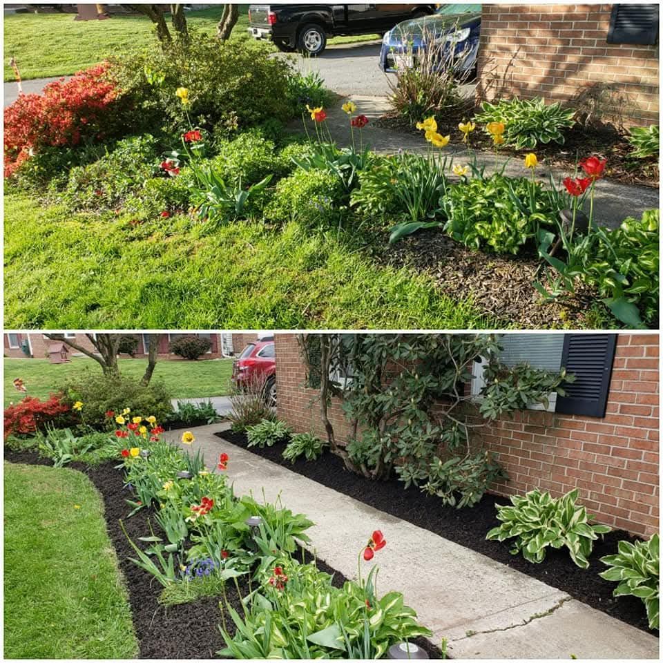 Before and after photos of a garden bed. The cleaned-up bed has mulch, flowers, and a defined border.