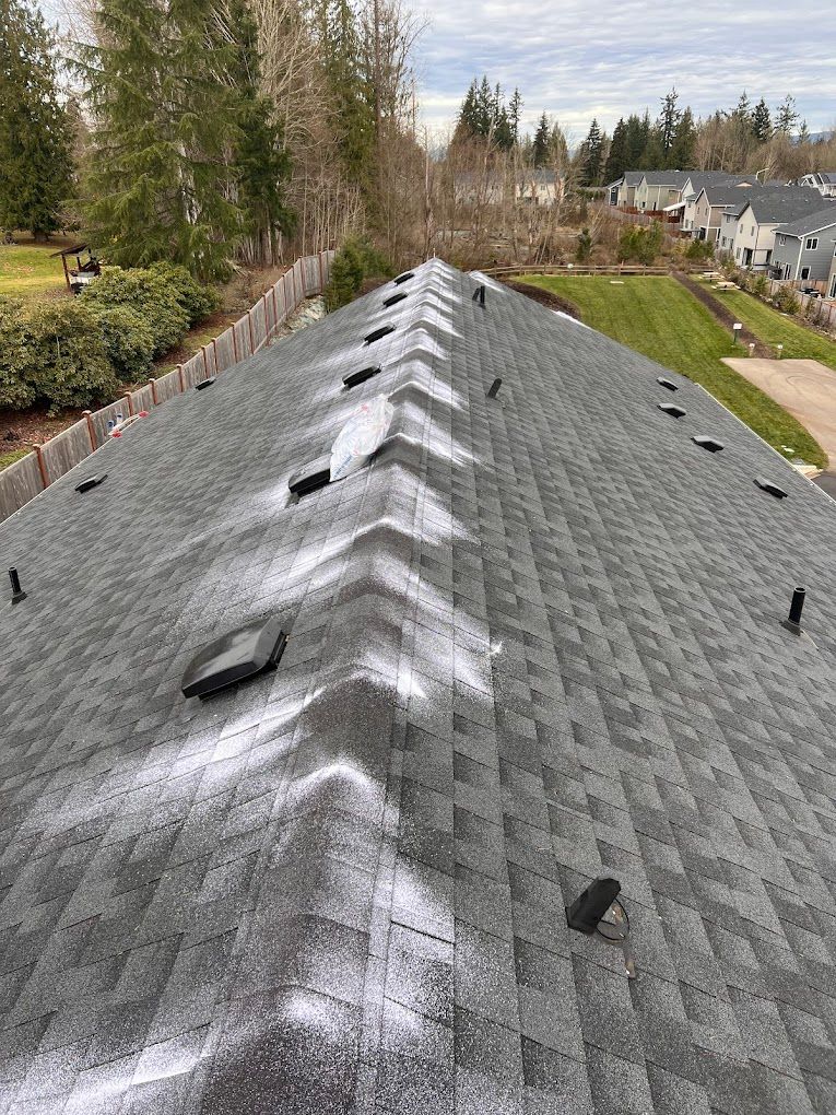 Dark shingled roof with white patches and vents, trees and houses in the background on a cloudy day.