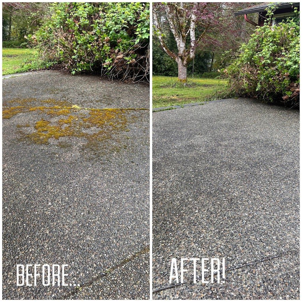 Before-and-after of a concrete surface. The "before" shows moss, the "after" is clean. Green foliage is nearby.