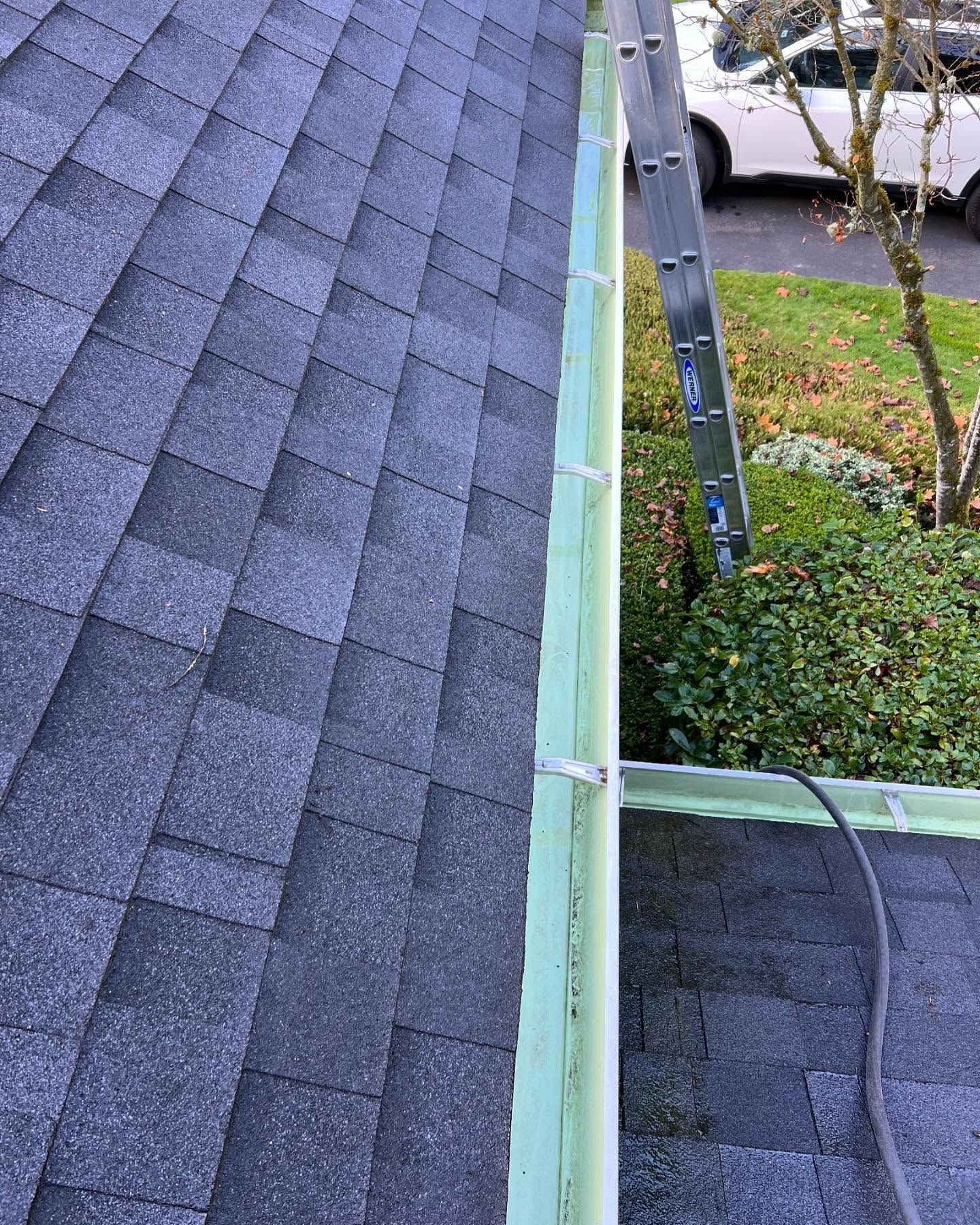 Gray asphalt shingle roof with a light green gutter, silver ladder, and green yard in the background.