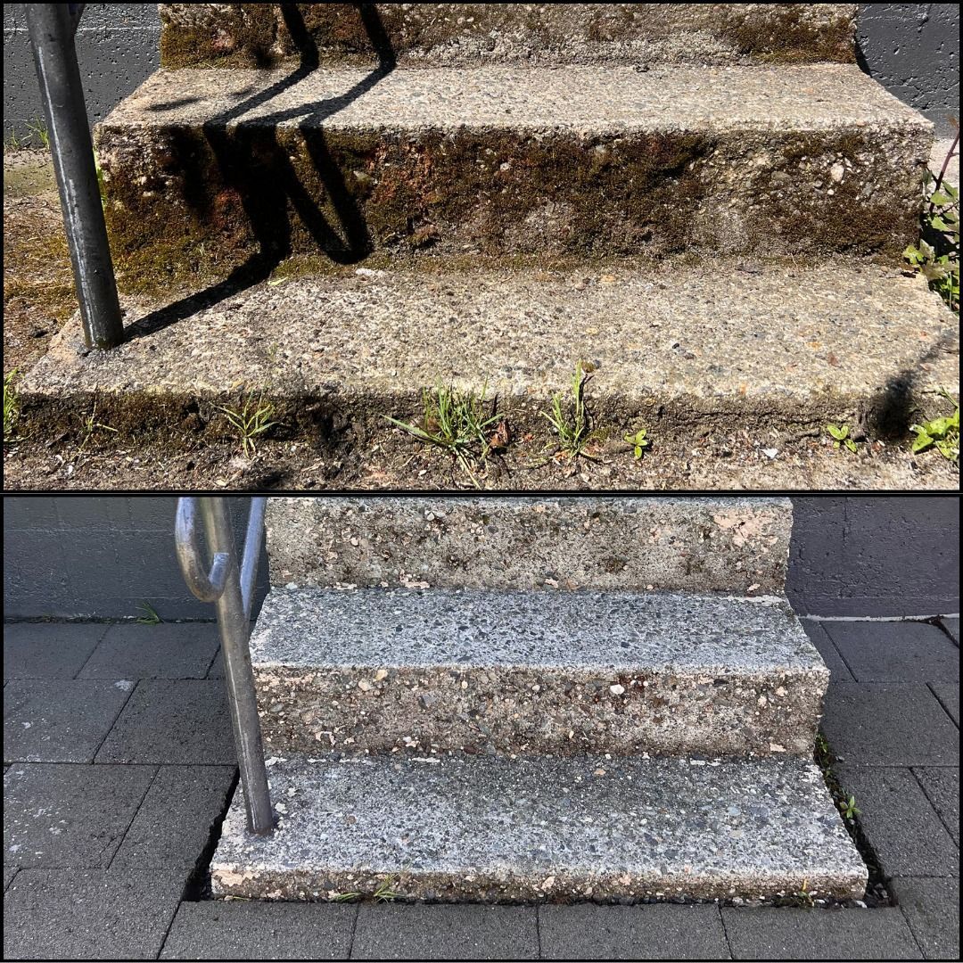 Concrete steps, before and after cleaning. Top: dirty with moss. Bottom: clean. Handrail present.