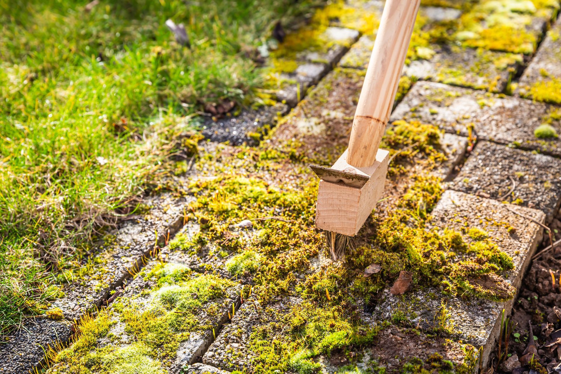 Mossy brick path being cleaned with a wooden tool; grass in background.