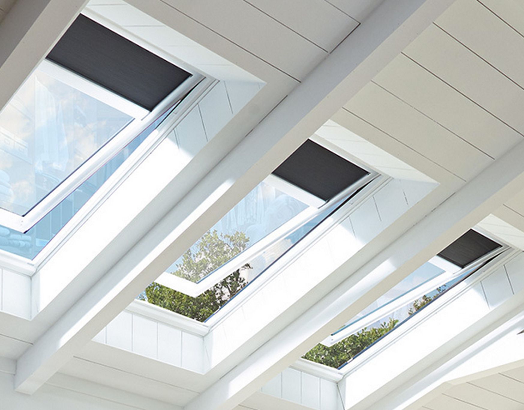 Skylights in a white ceiling with open windows and black shades.