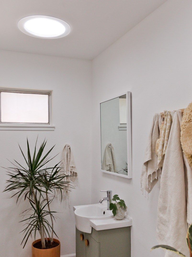 Bathroom with skylight, sink, mirror, small window, and potted plant. White walls, towels hanging.