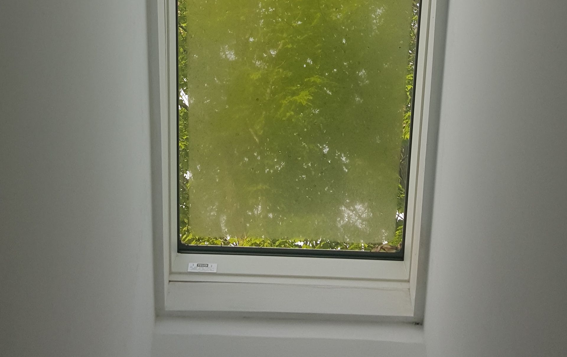 Skylight window with a blurred view of green trees through the glass. The frame is white.