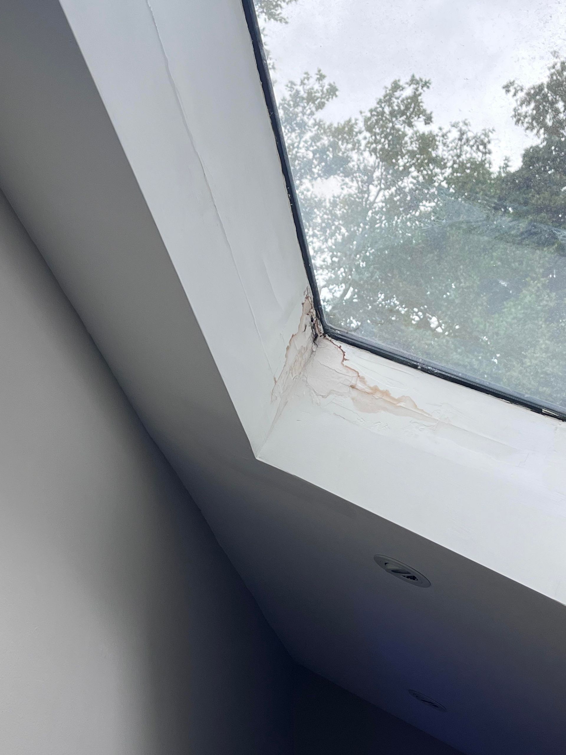 White skylight with discoloration near the corner, likely water damage, with a view of trees through the glass.