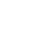 Car Maintenance Check Icon