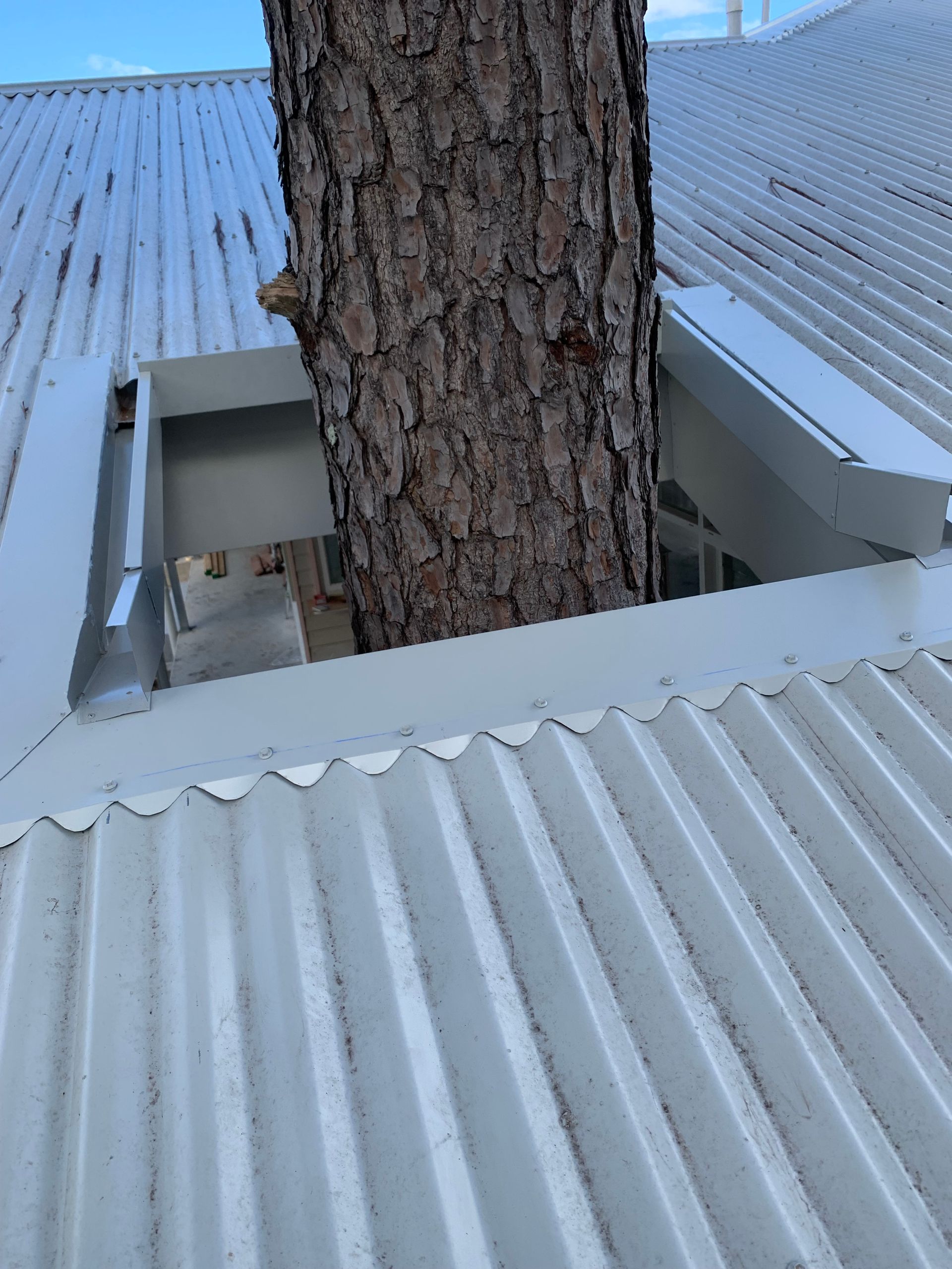 Tree In Roof — Gold Coast, QLD — Tin Men Roofing