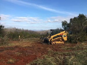 A bulldozer is cutting down trees in a field.