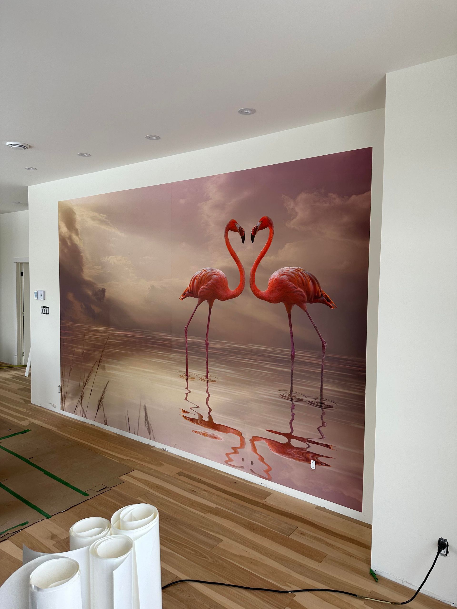 Un mur avec une photo de deux flamants roses dessus