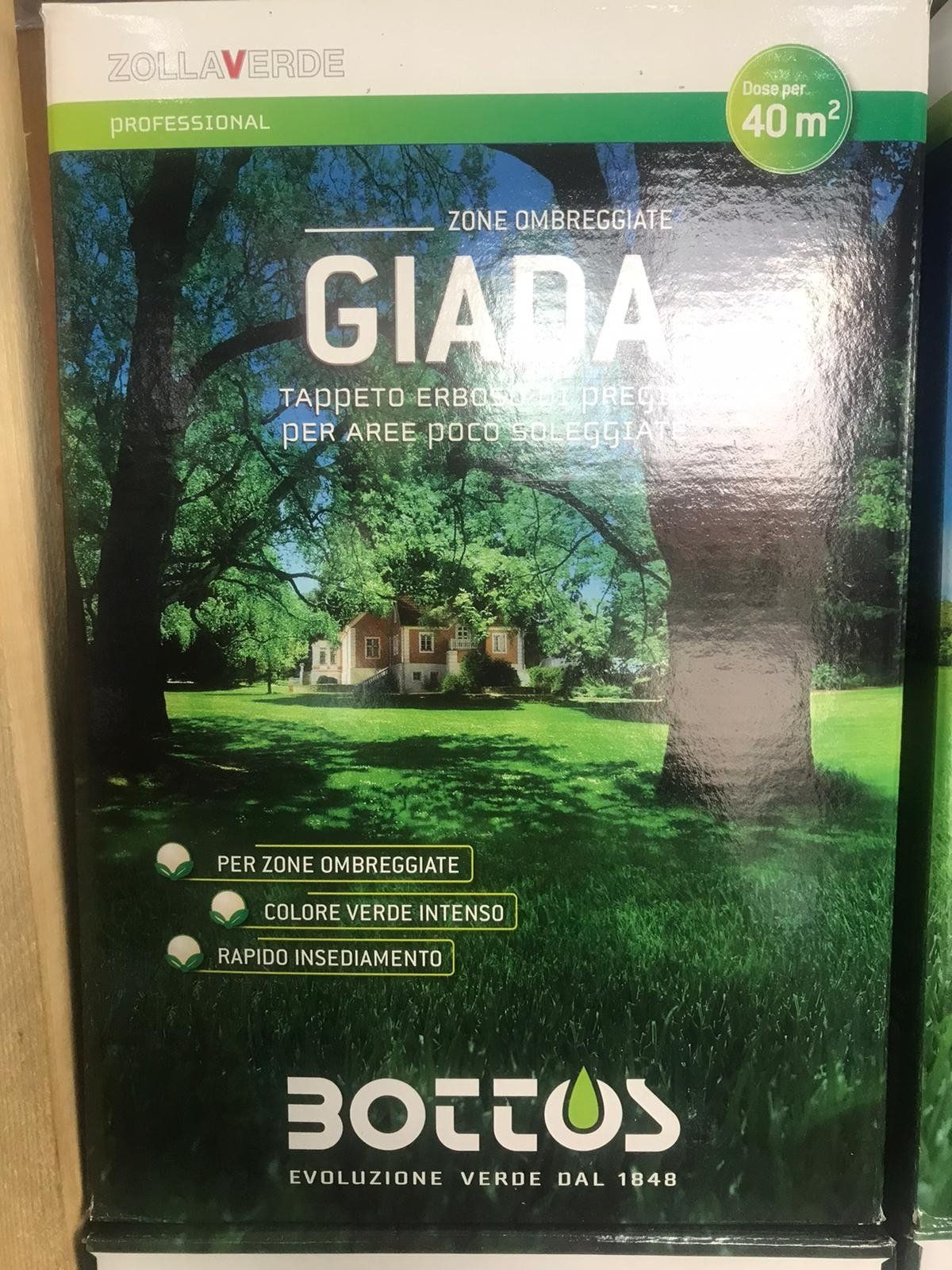 tappeto erboso di pregio per eree poco soleggiate