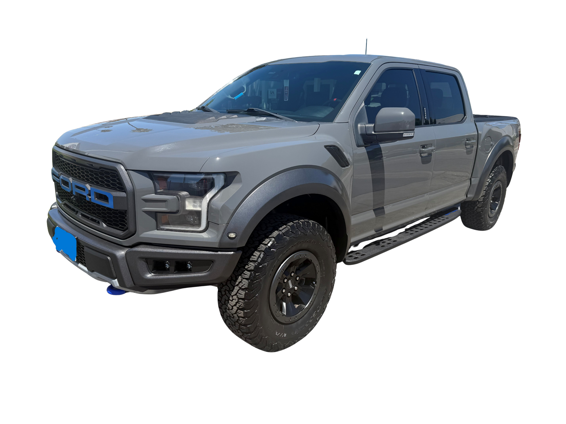 Grey Raptor w/Blue Accents