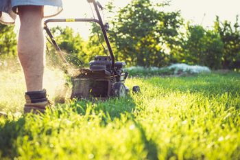A person is mowing a lush green lawn with a lawn mower.
