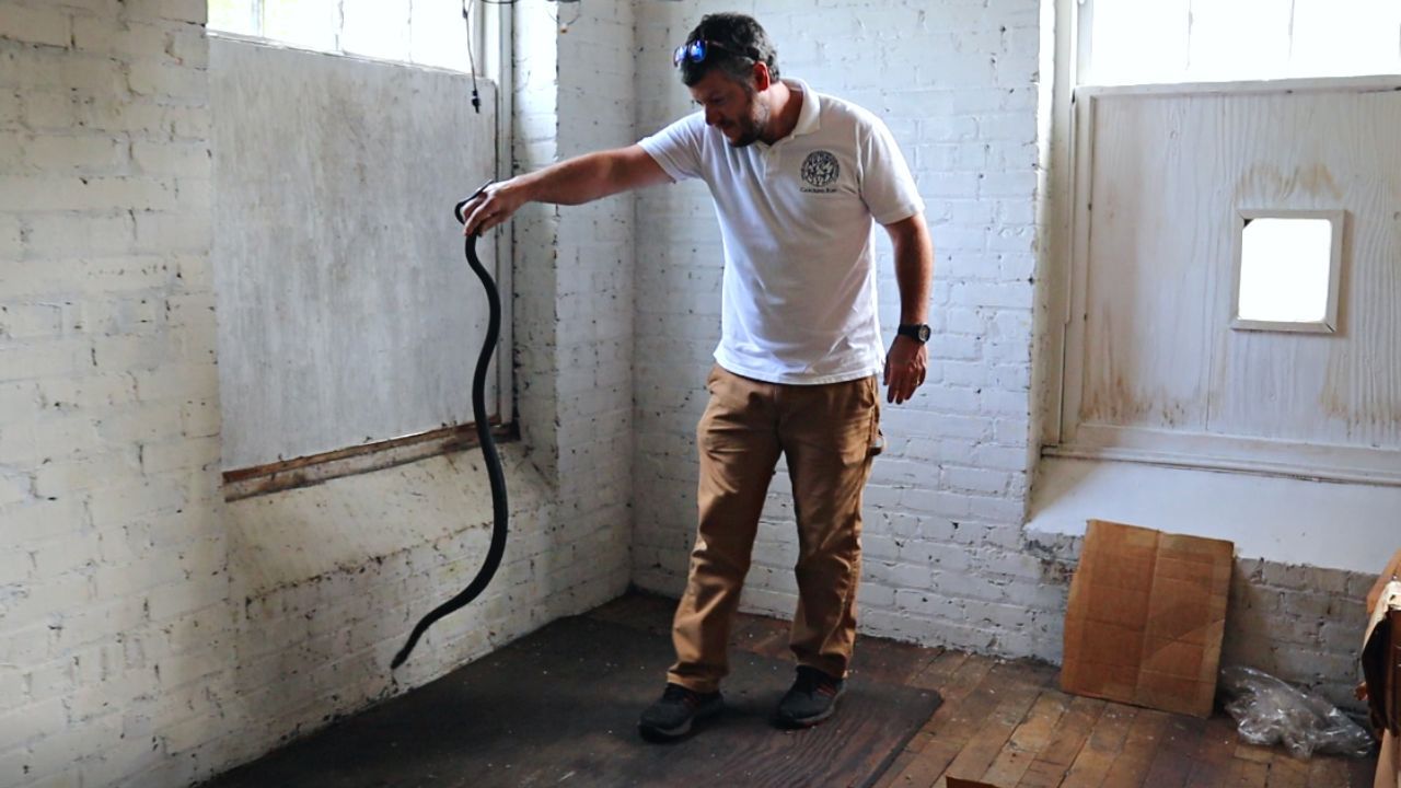 Exploring The Mill Property