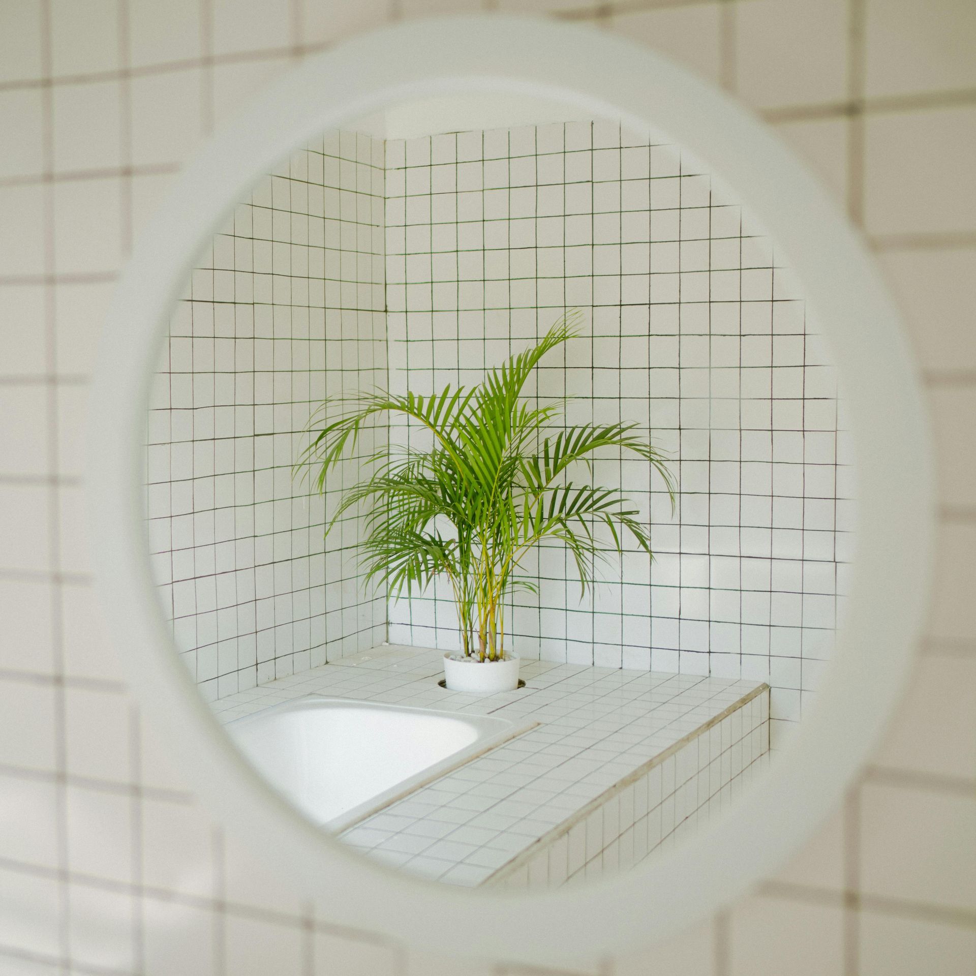 Bathroom with a plant for a new start