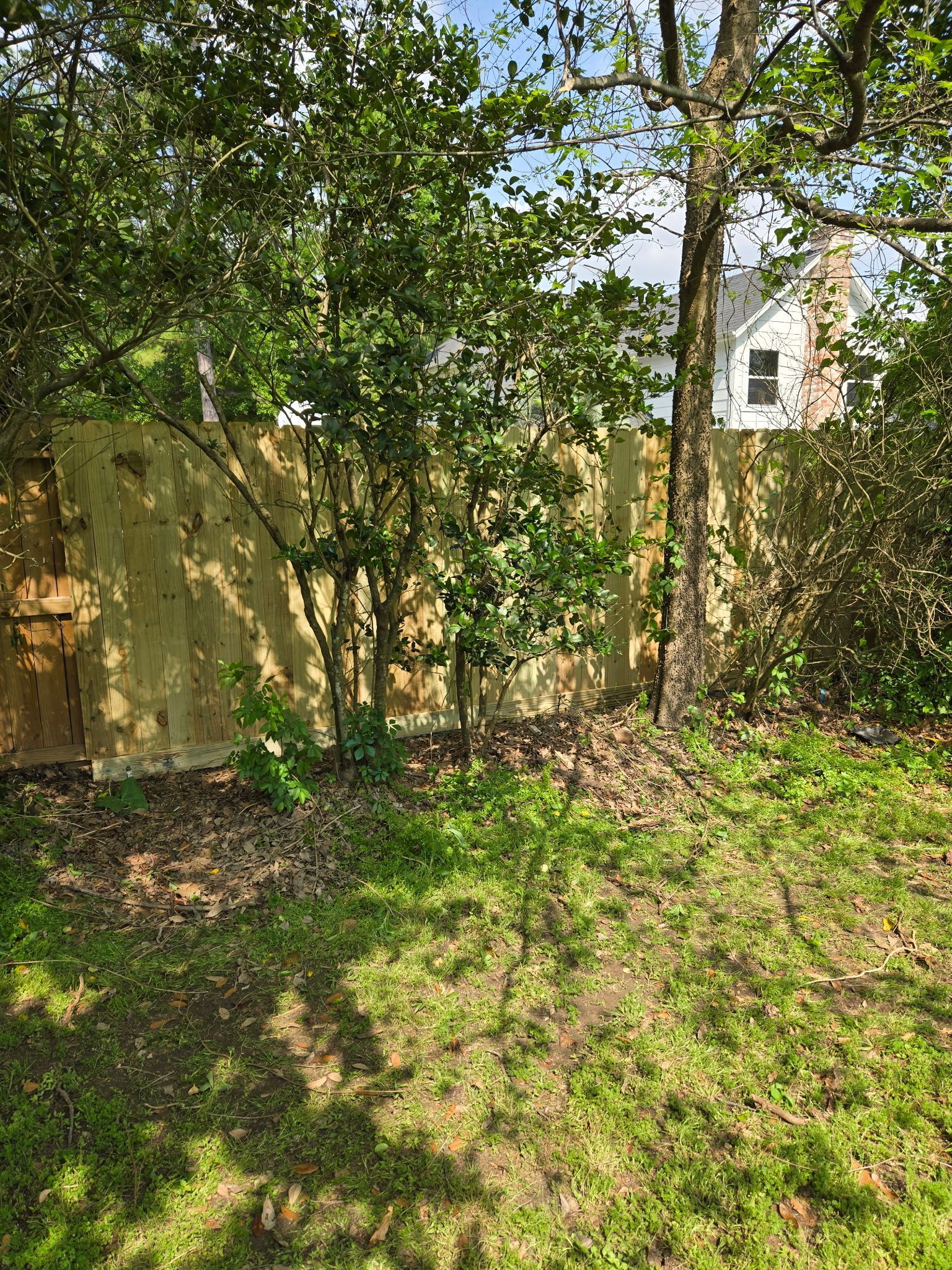 A house is behind a fence surrounded by trees and grass.