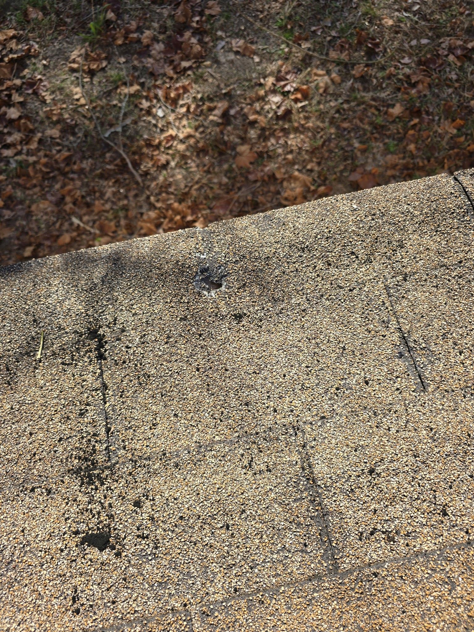 A close up of a gravel road with leaves on it.