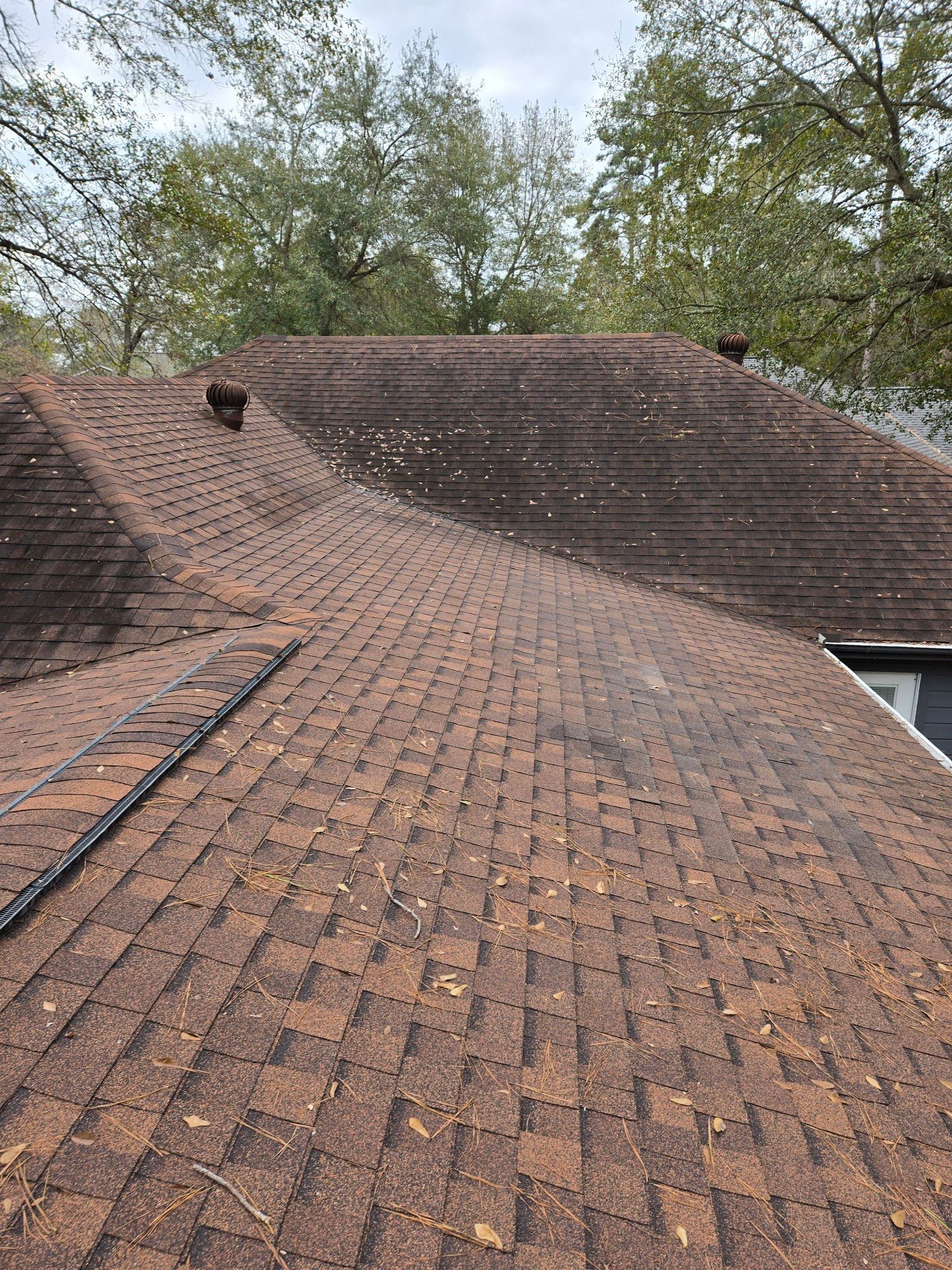 A roof with a lot of leaves on it and trees in the background.