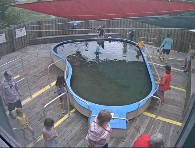 Alabama Aquarium unveils refreshed look and enhanced experience