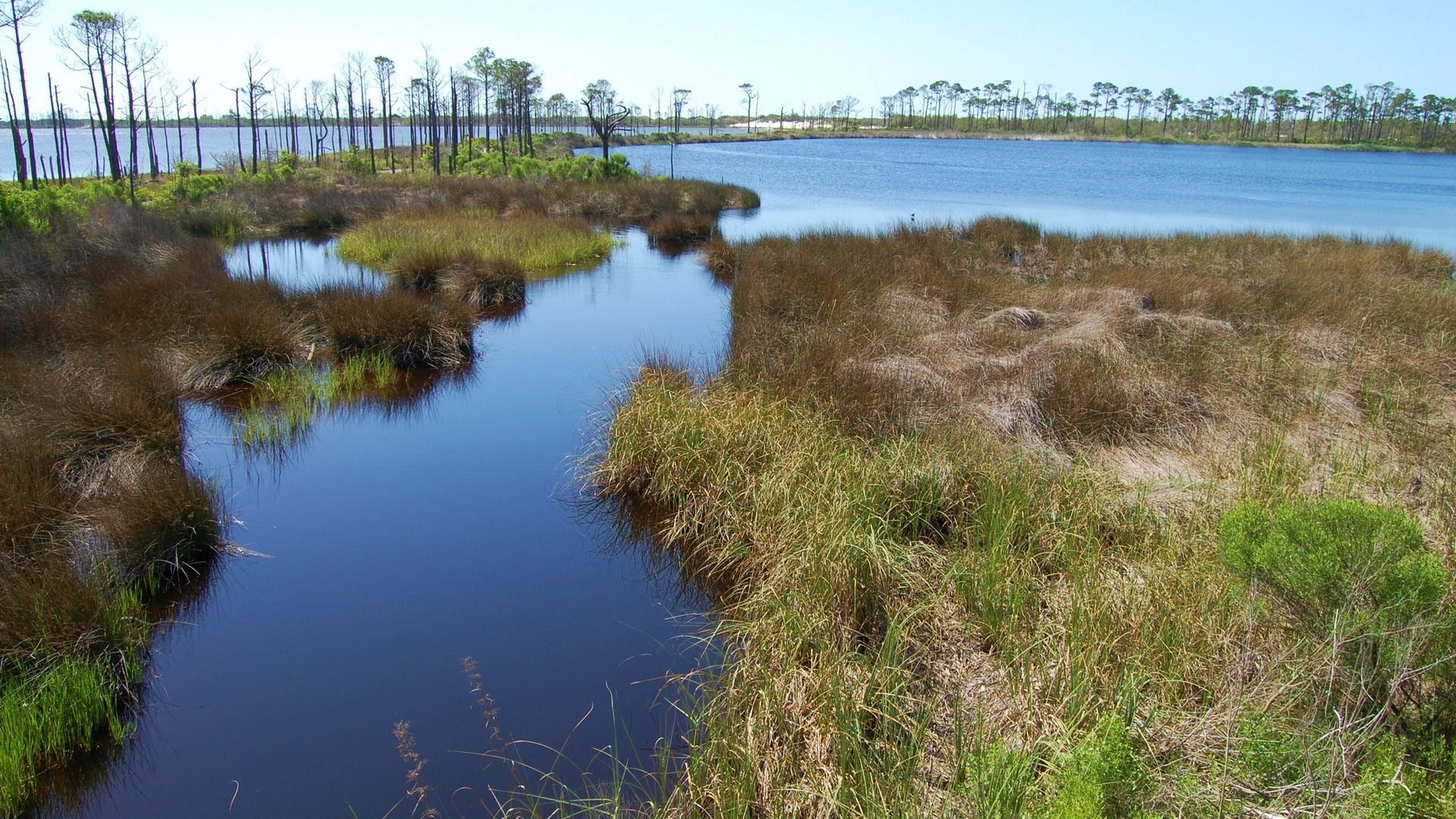 Bon Secour Refuge Schedules 2026 Educational Walks