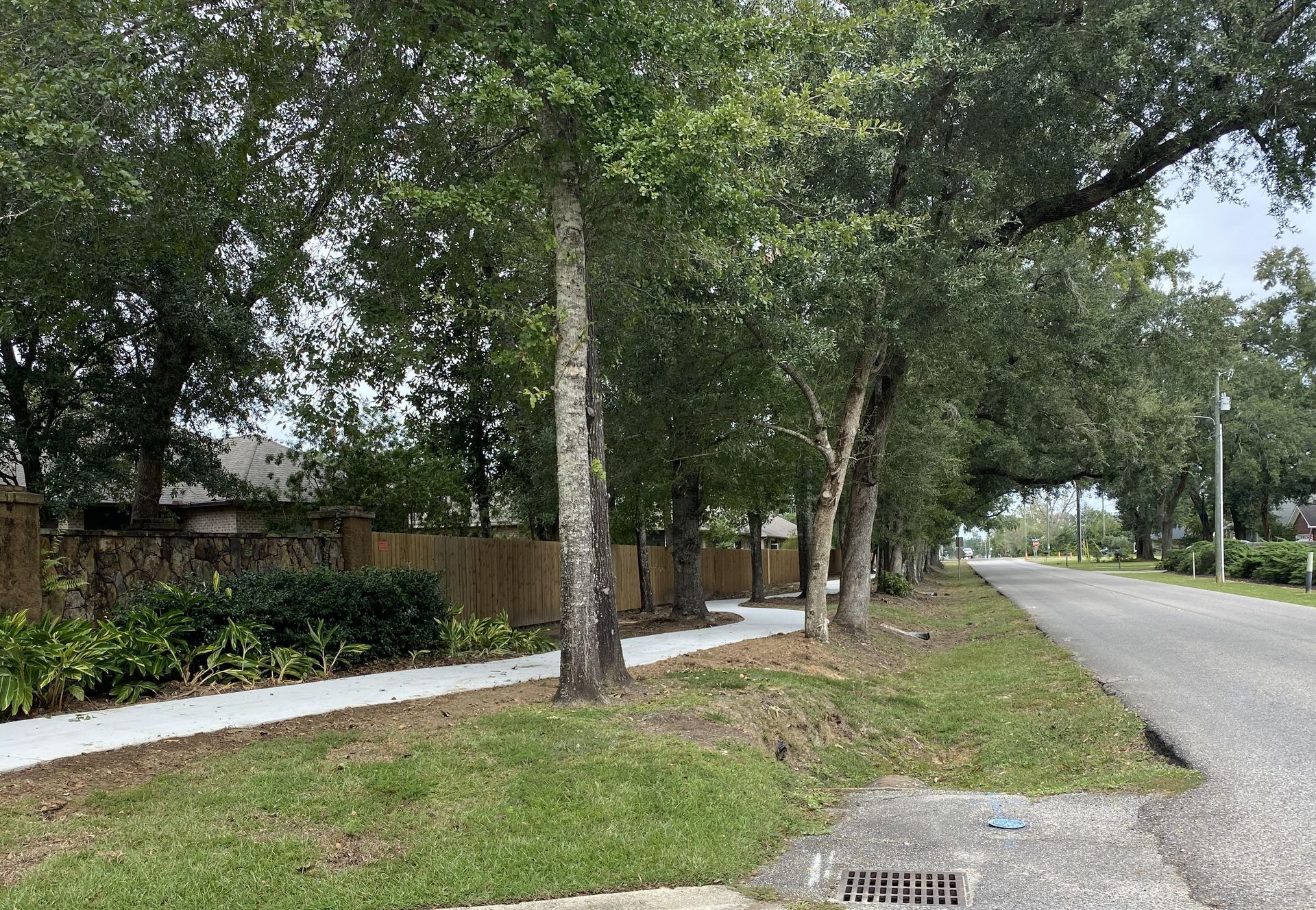 Trees provide a barrier along the perimeter of a subdivision in Foley. The City Council is considering an ordinance to require landscaped barriers in new subdivisions.