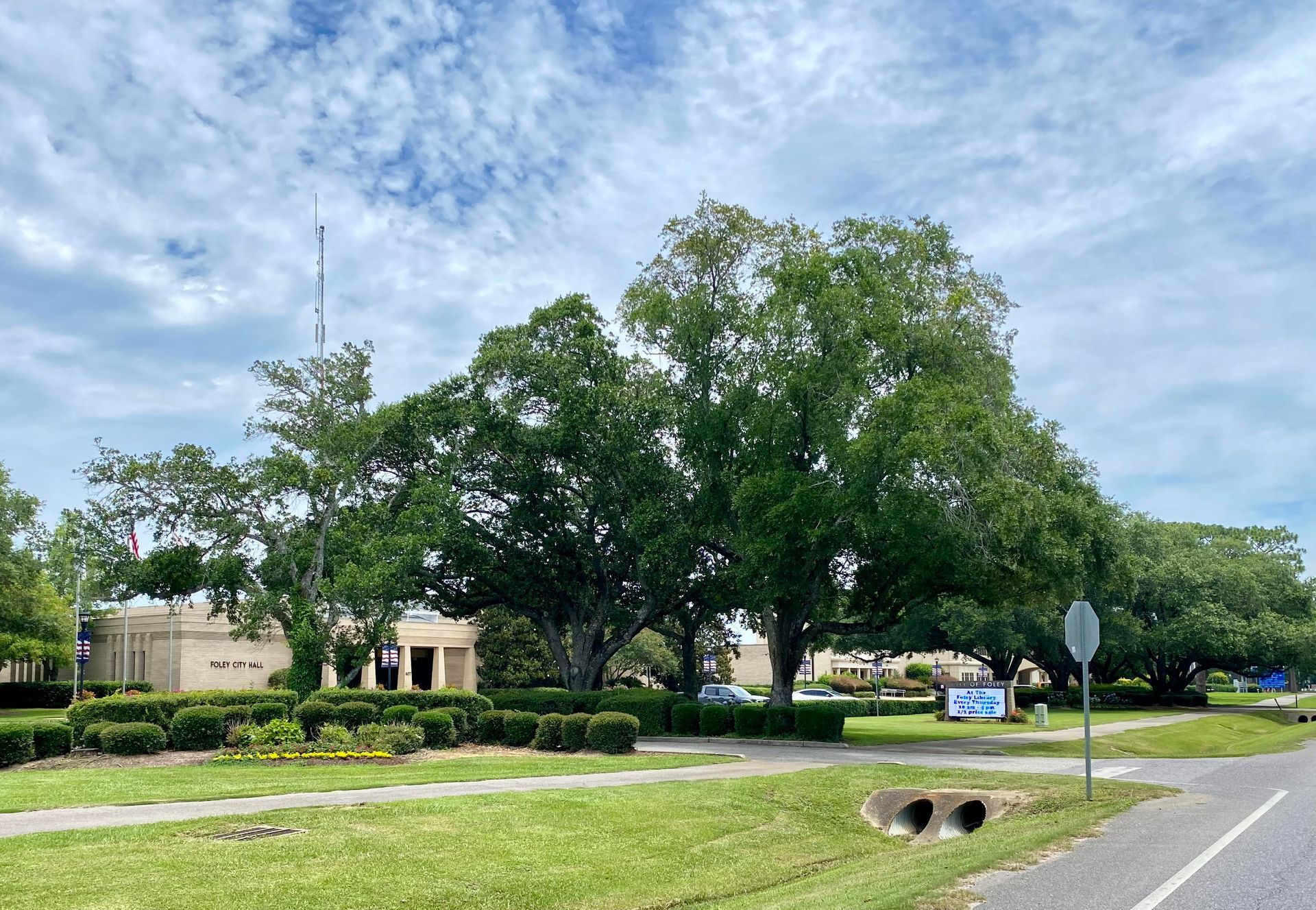 Oak trees in front of Foley City Hall will be illuminated with halo lighting under plans approved by the City Council. Lights will also be installed in trees along South Alston Street. 