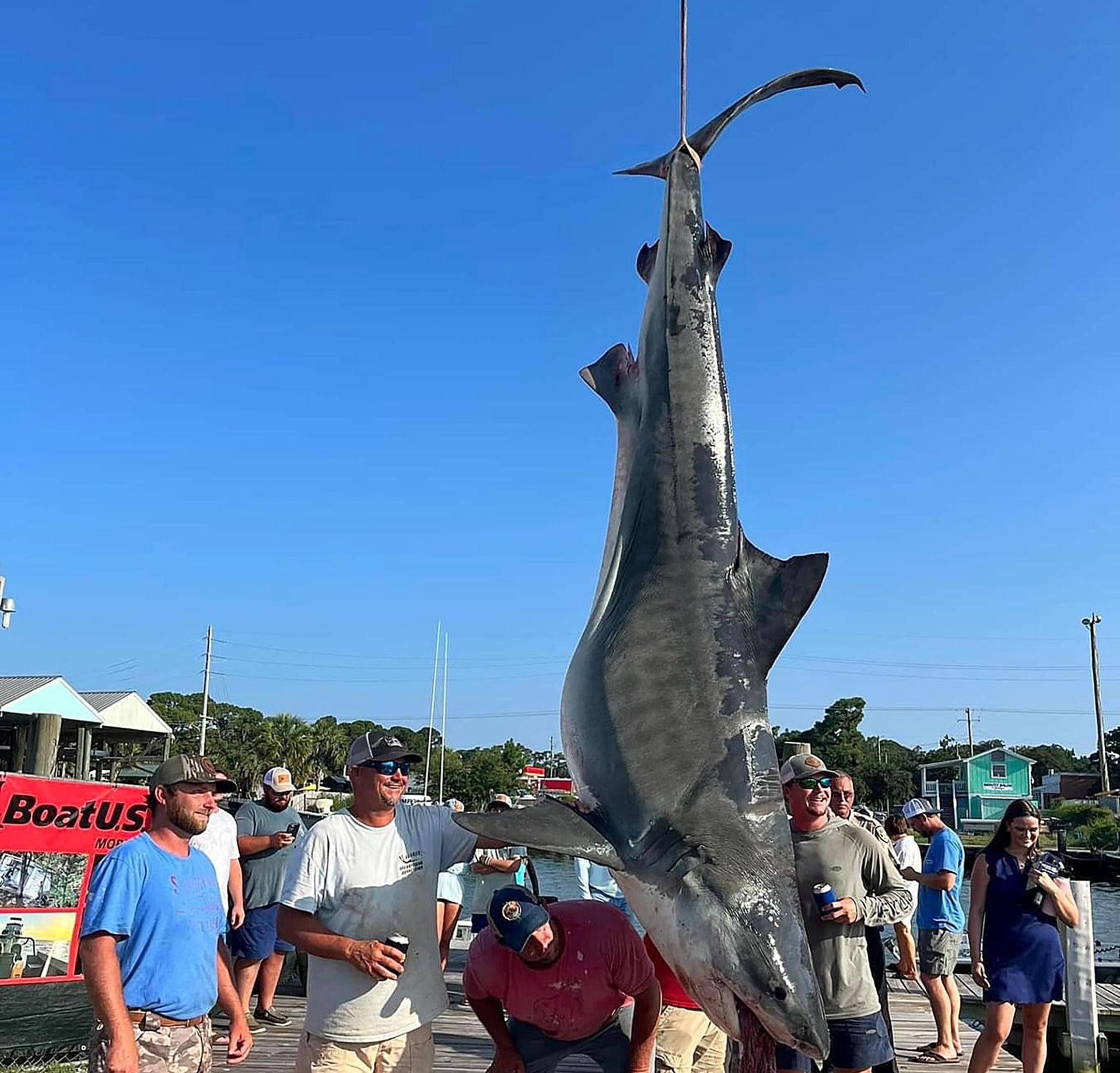 Brett Rutledge and crew celebrate the record-setting tiger shark weighed in at the 2023 Alabama Deep Sea Fishing Rodeo. ADSFR photo
