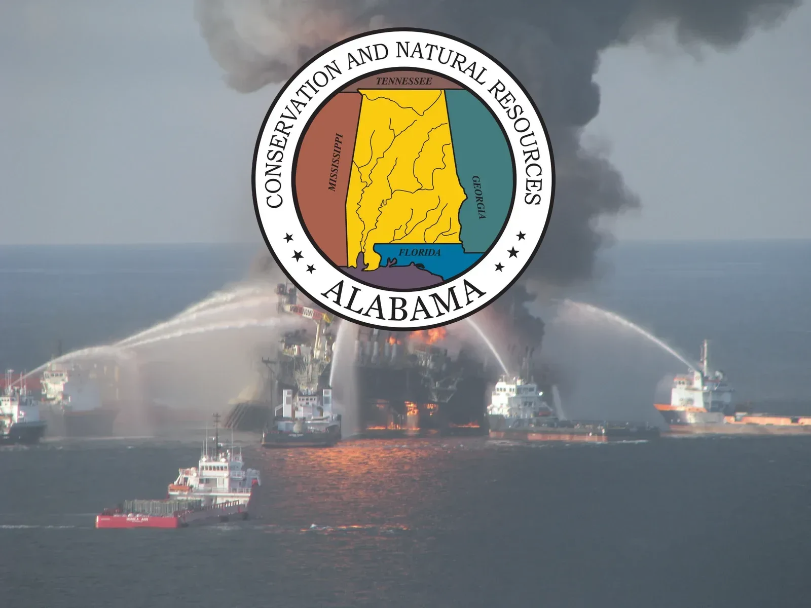 New Grants Boost Coastal Habitat Work On Alabama’s Gulf Coast