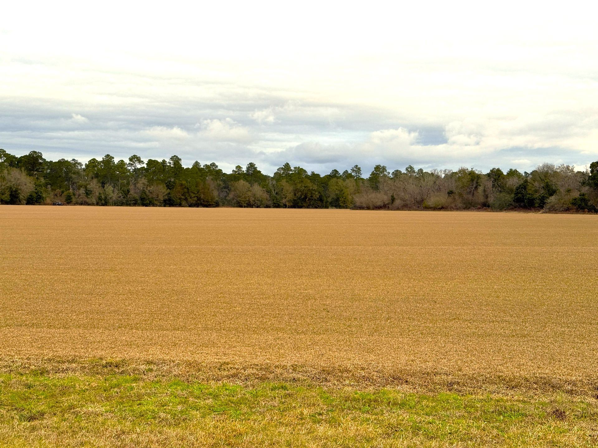 Foley's newest fire station will be built on the property at 100 East Fern Avenue.