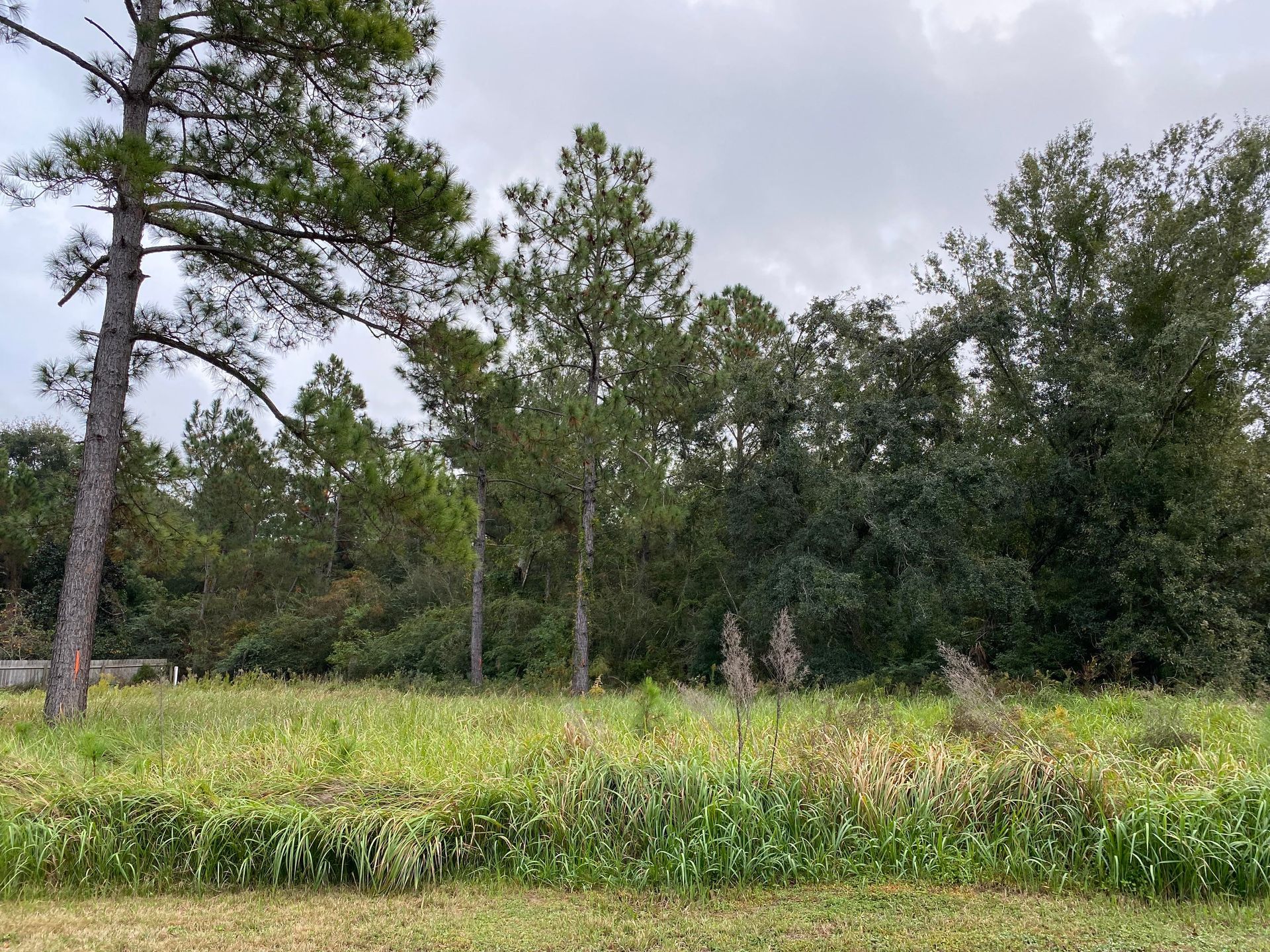 A new medical park is planned in Foley’s Medical Overlay District. The park will be located south of East Peachtree Avenue.