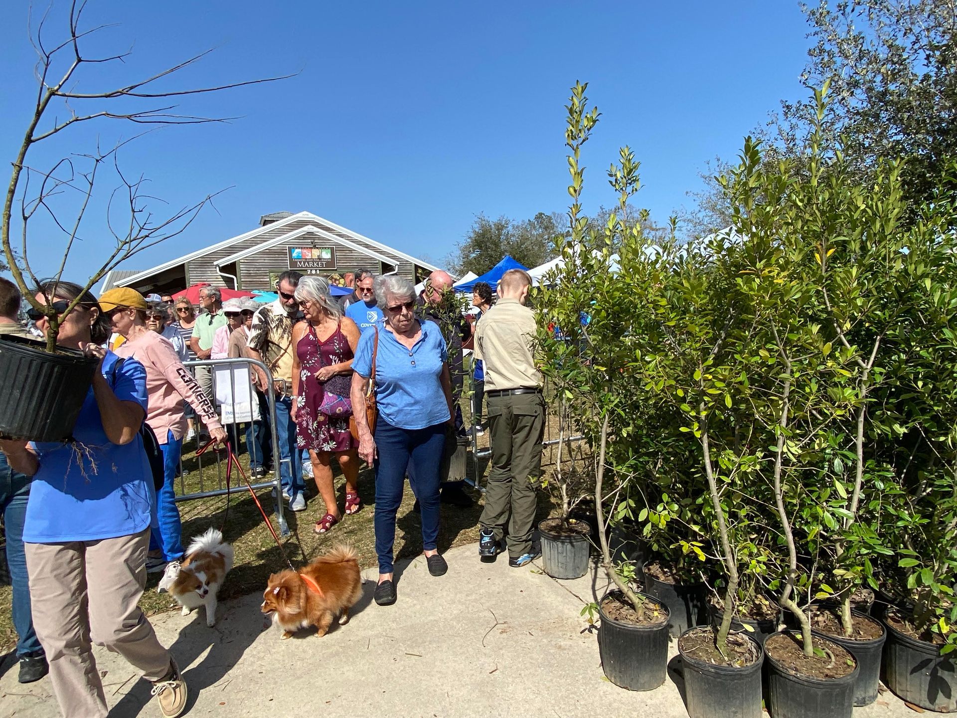 Residents receive trees during the 2024 Foley Arbor Day celebration.