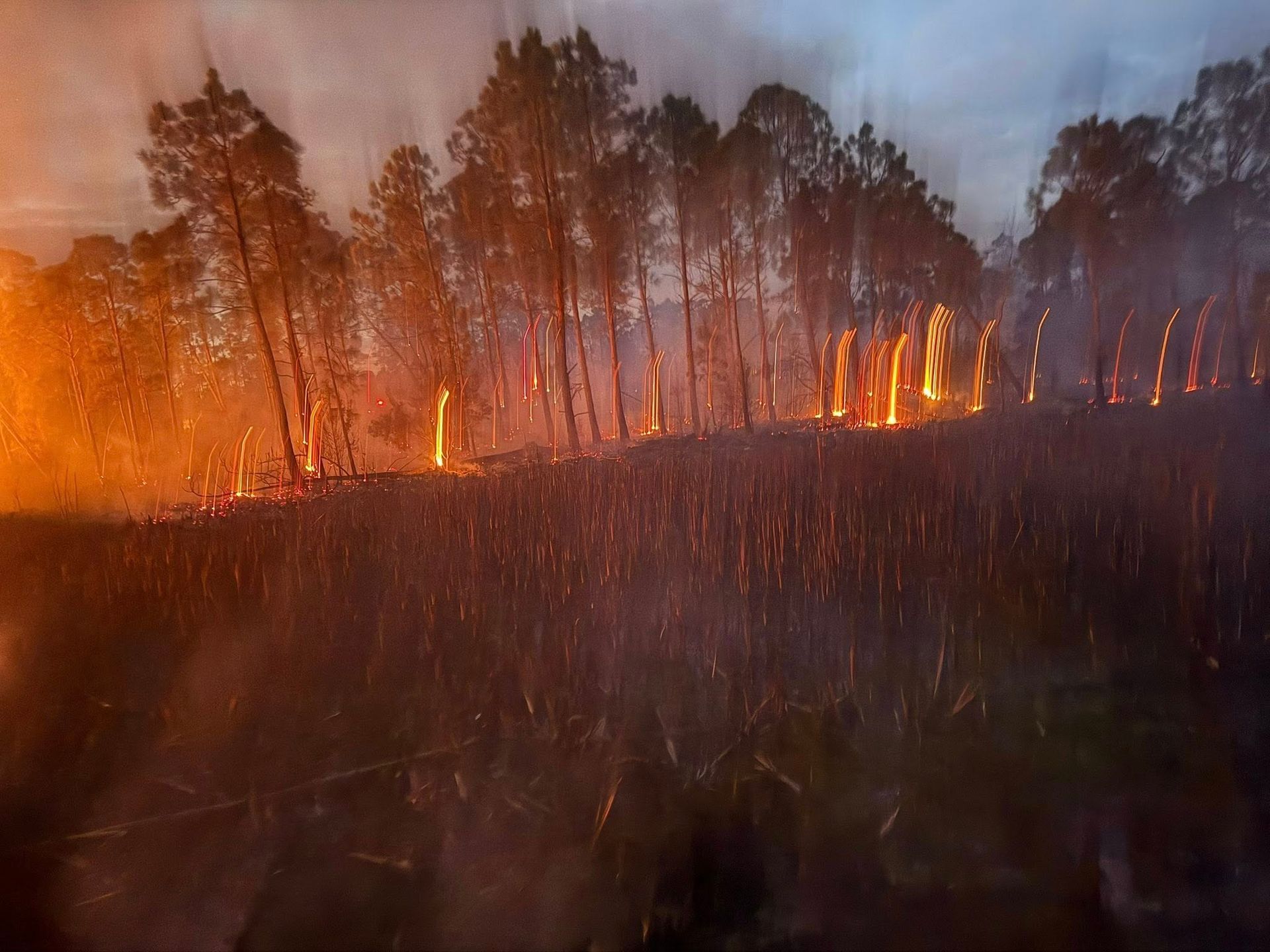Crews Hold Fifteen-Acre Fire on Fort Morgan Road Before It Reached Homes