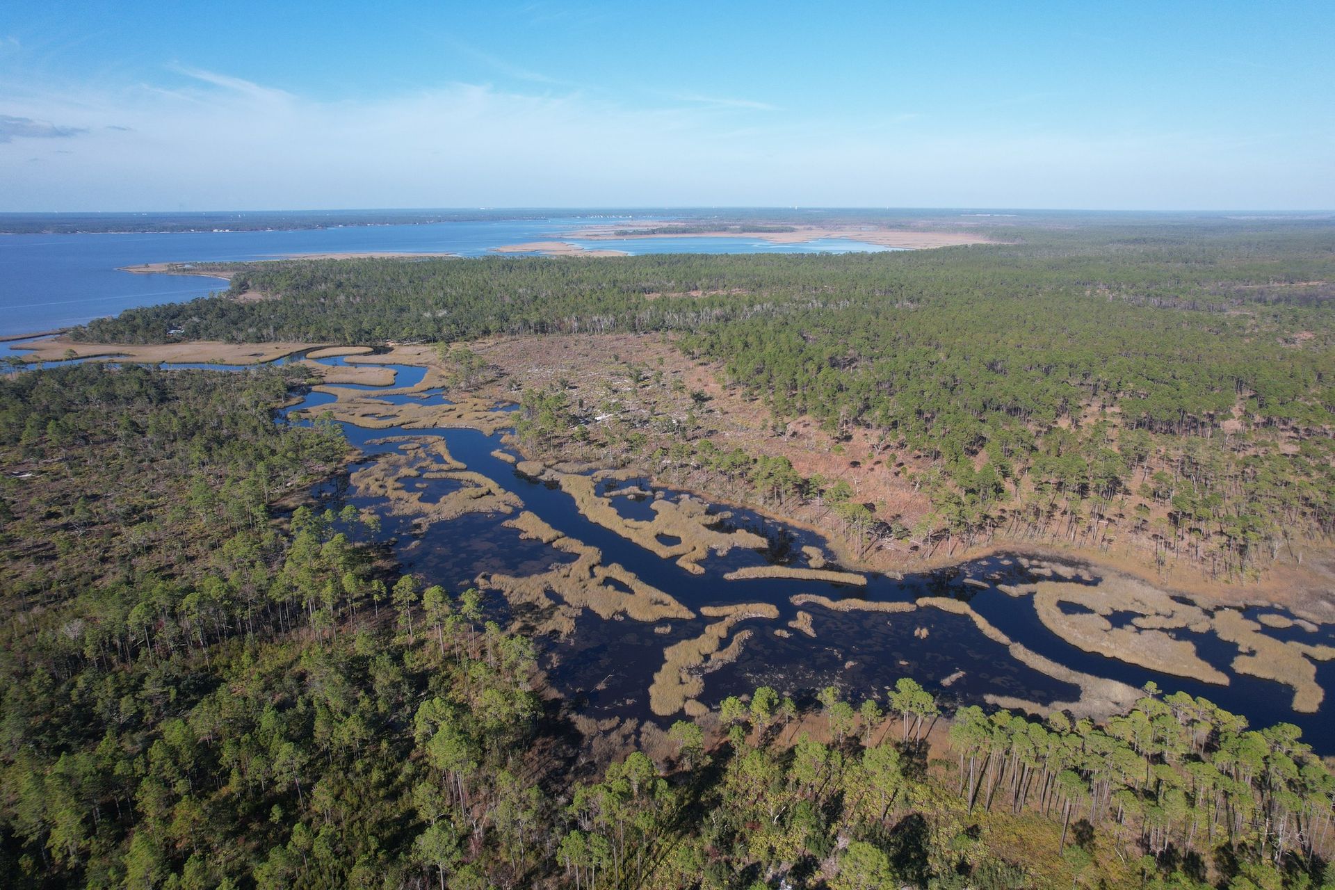 Funday Bayou at Escribano Point Wildlife Management Area - Photo from the Pensacola and Perdido Bays Estuary Facebook page.