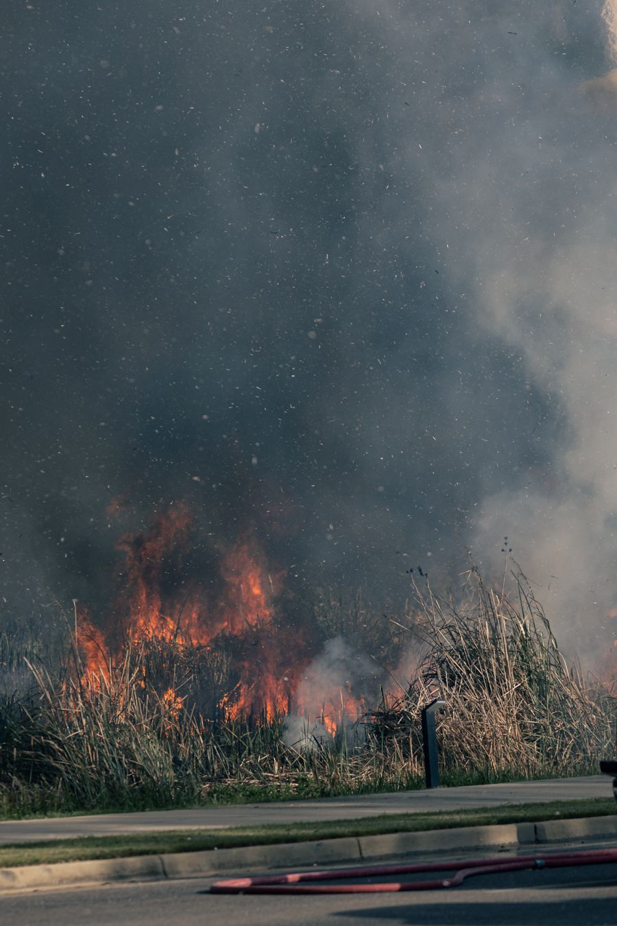 Gulf State Park Fire on March 24, 2026.