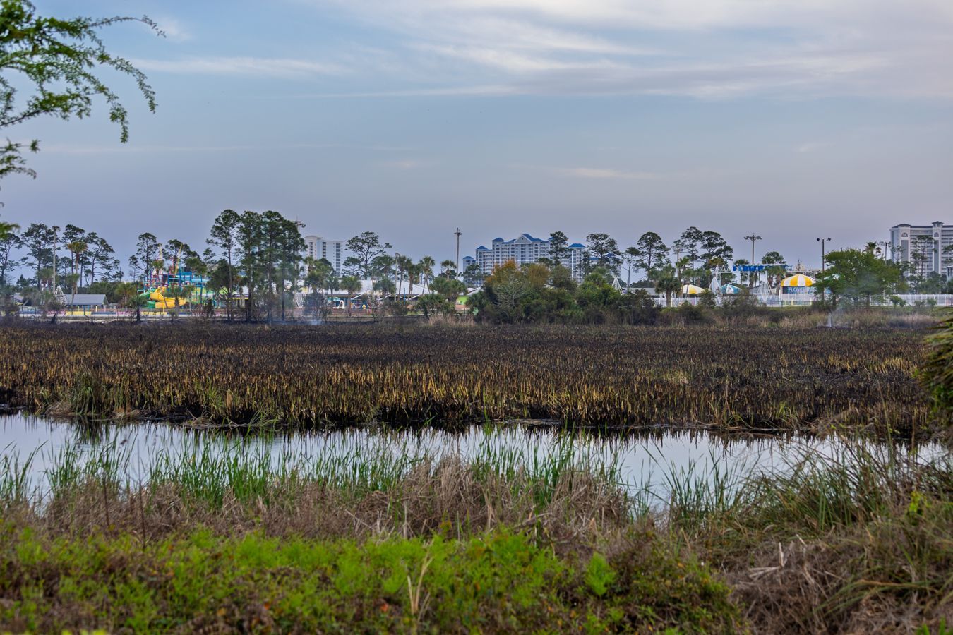 Gulf State Park Fire on March 24, 2026.