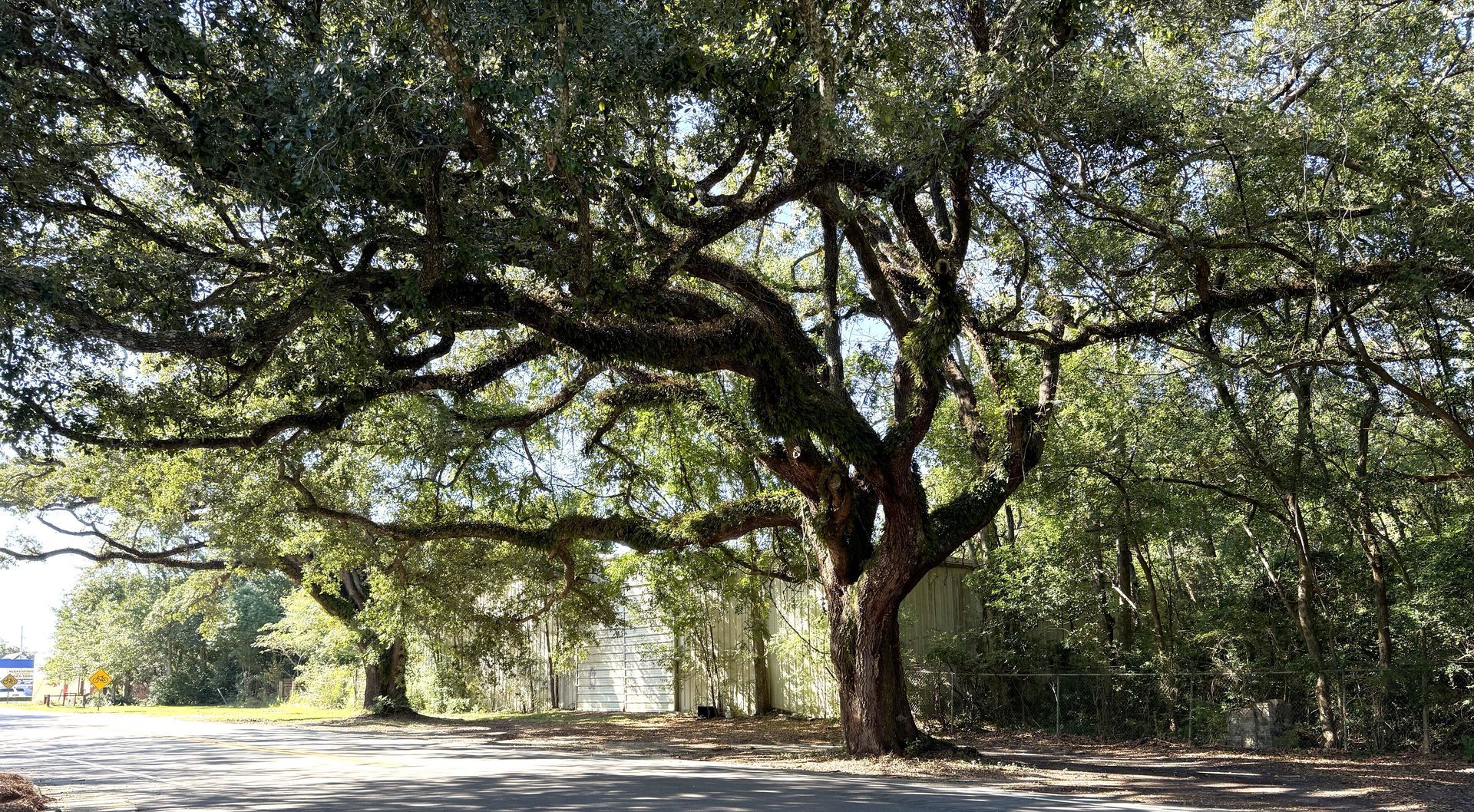 Foley Buys Land Near Heritage Park for Future Civic Projects