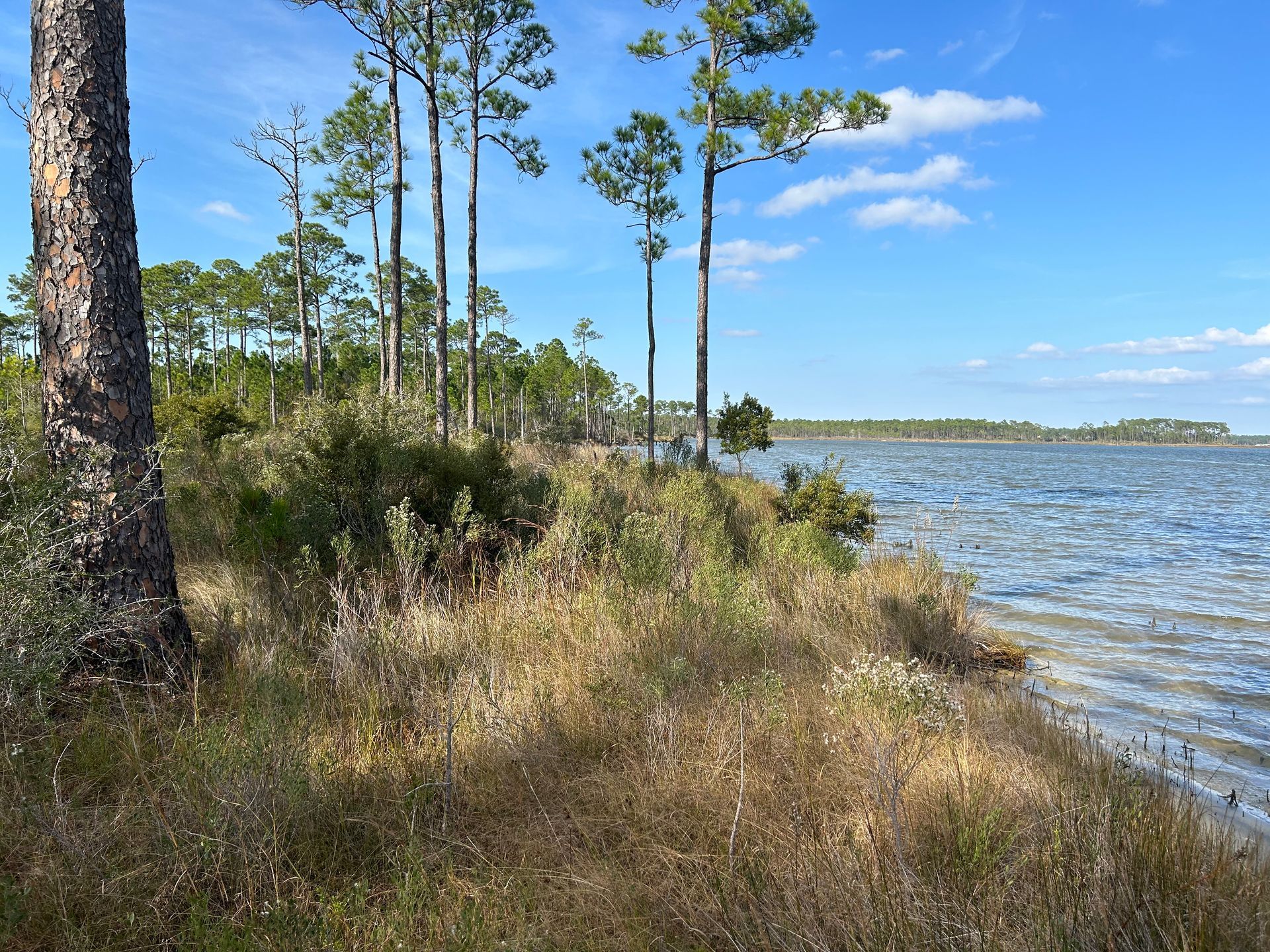 Foley Secures $4 Million to Expand Footprint of Graham Creek Nature Preserve