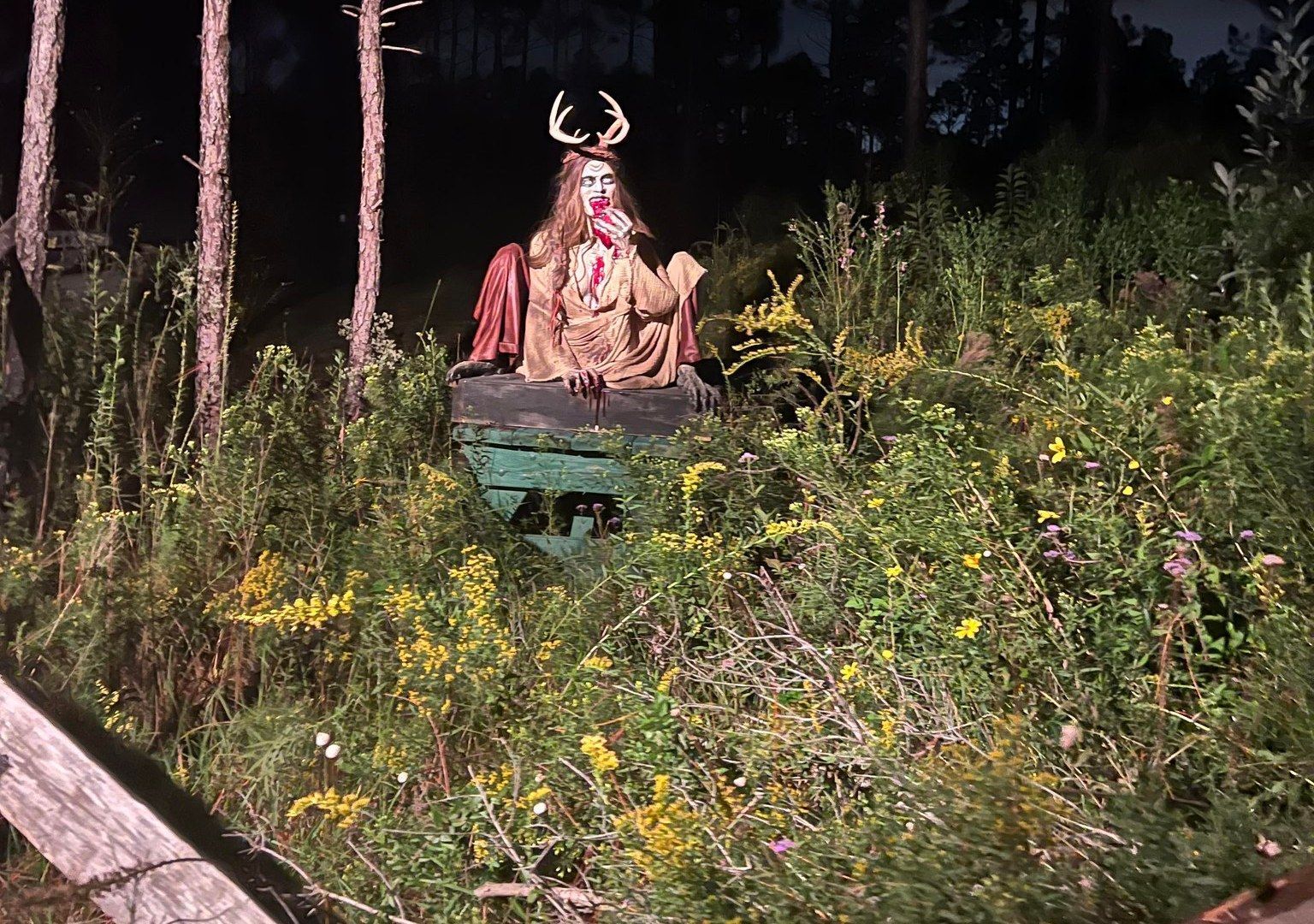 Graham Creek Haunted Forest