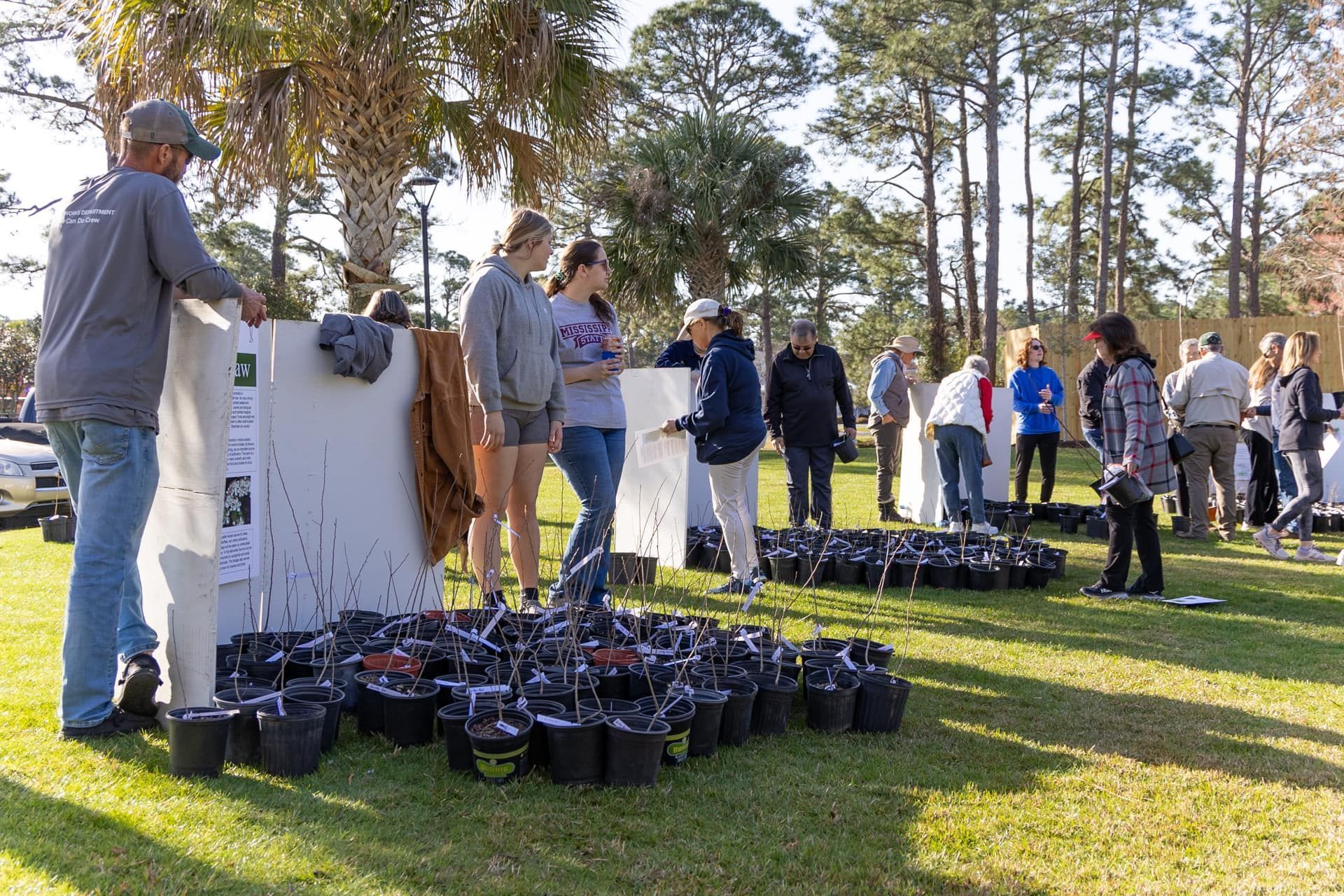 Gulf Shores Arbor Day Tree Giveaway