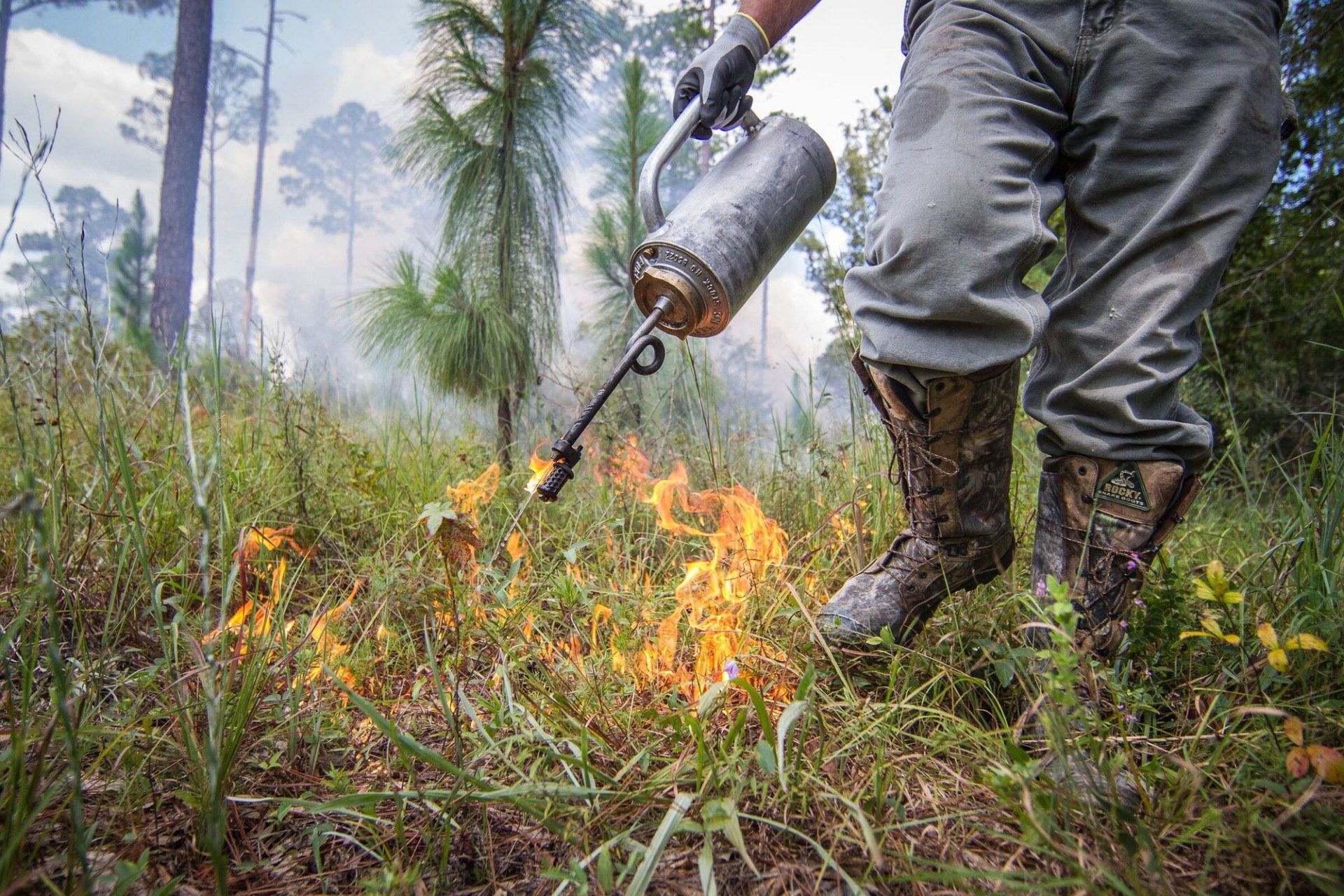 Graham Creek is Scheduled to Hold Prescribed Burn Today