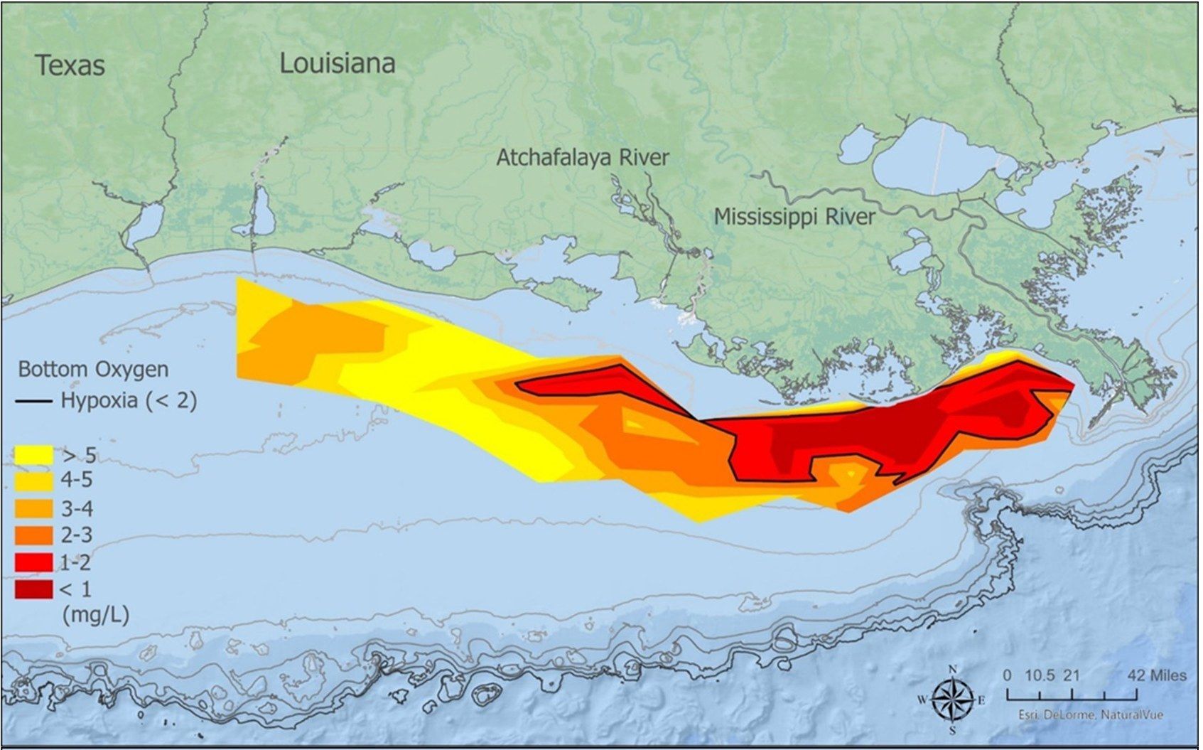 Below Average Dead Zone Measured In Gulf Of Mexico