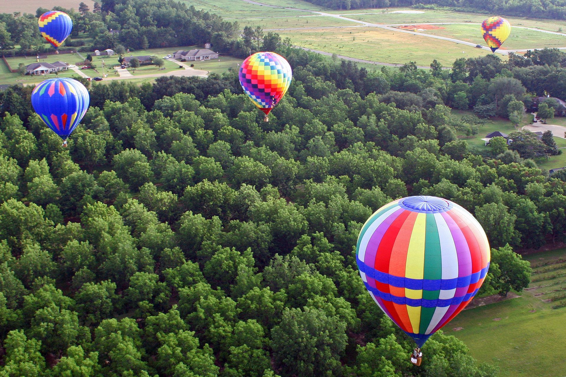 Gulf Coast Balloon Festival Seeks Artists for 2025 Poster