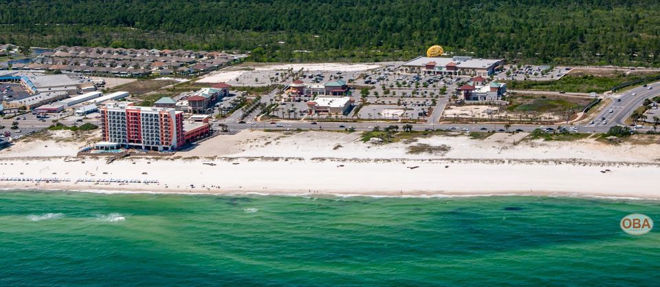 Co-owners of the iconic Flora-Bama Lounge and Oyster Bar in Orange Beach, Alabama, are looking to develop this Gulffront property..